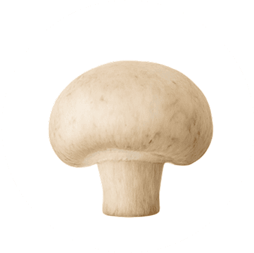 uc_stacked_images_elementor_22fe22c_item5